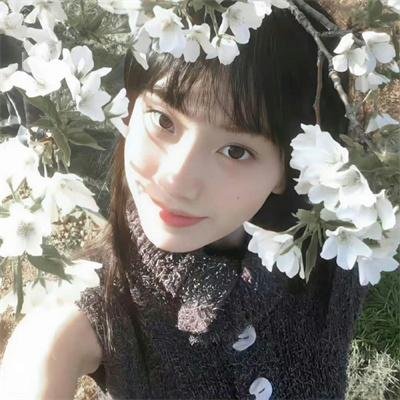 菜鸟囧探